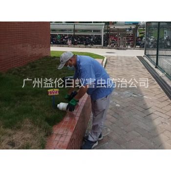 番禺校區(qū)滅紅火蟻