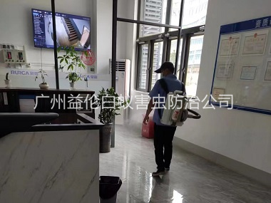 大石室內消殺蚊蟲工程