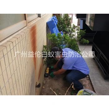 南村投放滅鼠裝置工程
