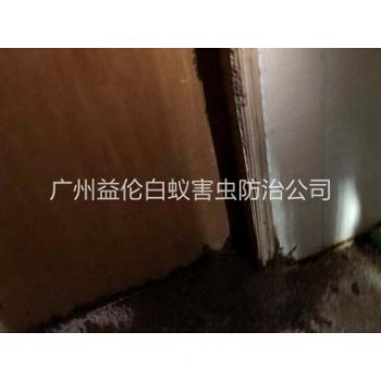 沙頭白蟻危害防治工程