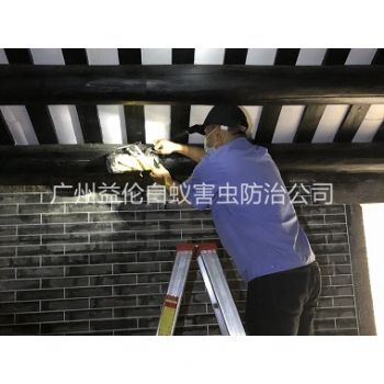 洛浦祠堂殺滅白蟻工程