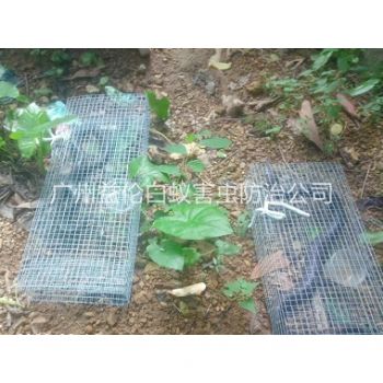 番禺上門驅蛇防蛇工程